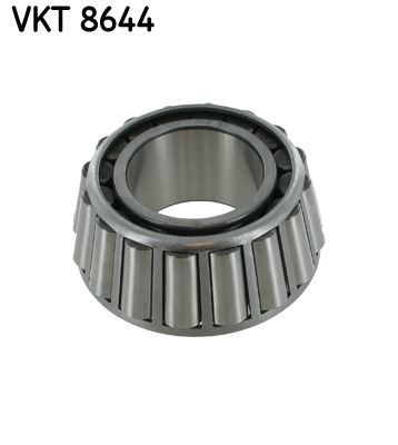 Şanzıman Rulmanı SKF