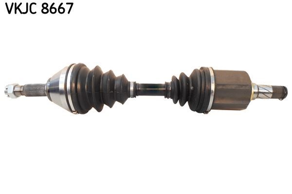 Aks Rulmanı SKF