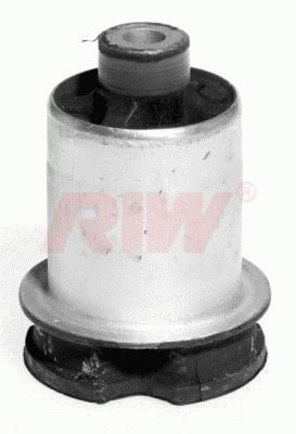 Salıncak ve Denge Kolu Burcu Arka RIW