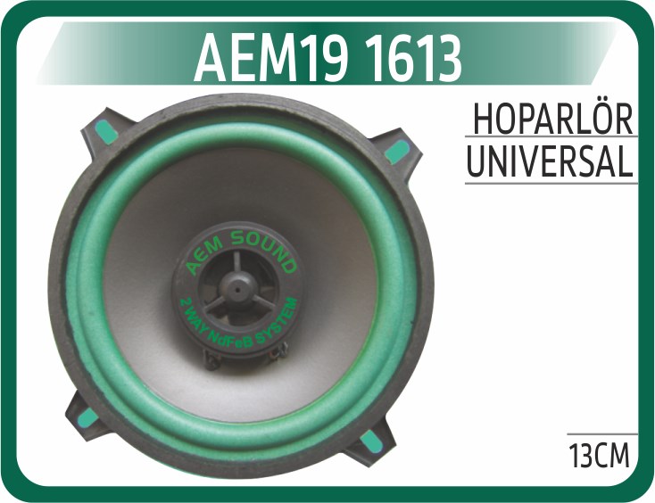 Hoparlör 13CM AEM
