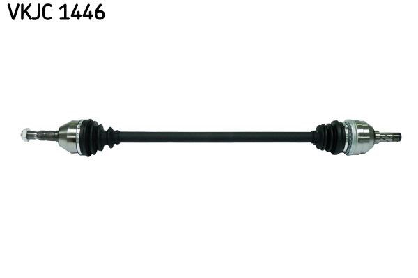 Aks Rulmanı SKF