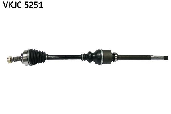 Aks Rulmanı SKF