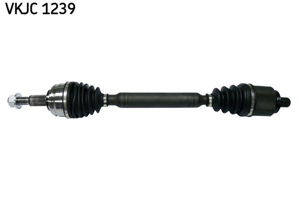 Aks Rulmanı SKF