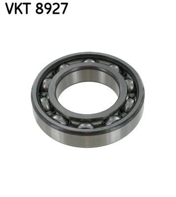 Şanzıman Rulmanı SKF