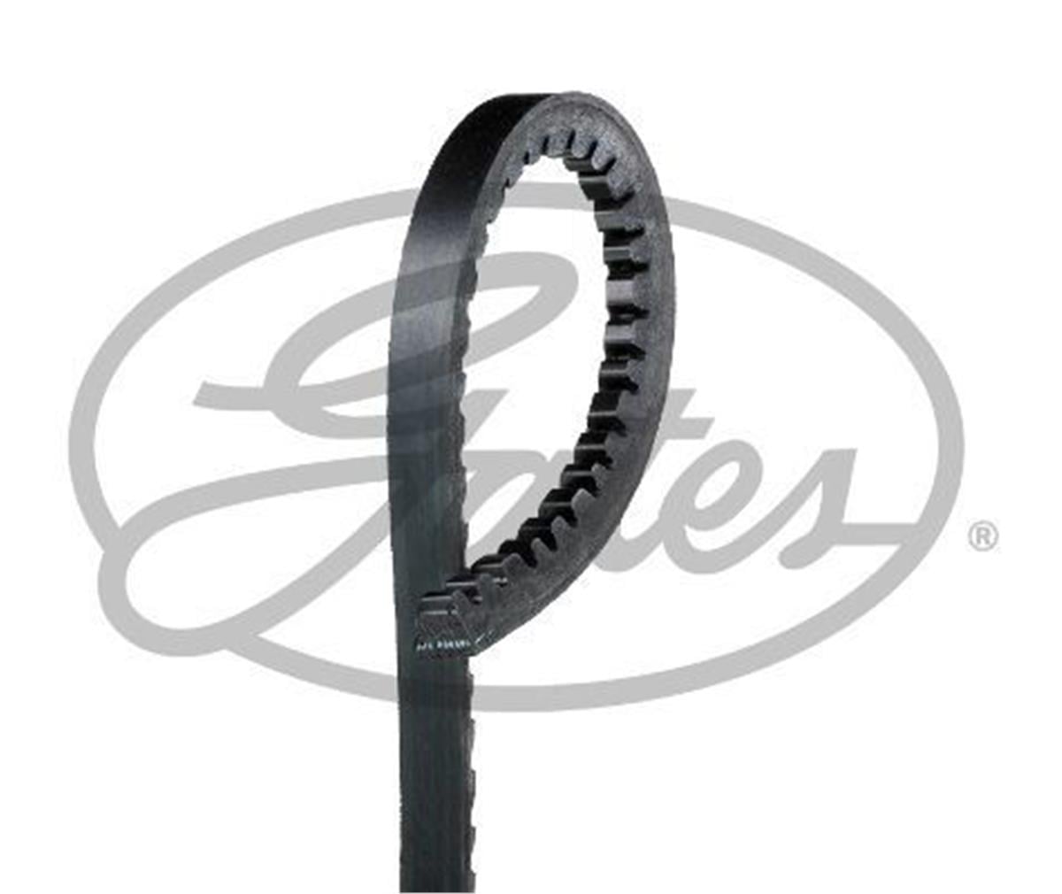 V Kayışı 10X1138la Renault Clio-R9-R19 - Vw- .5X1140 ( Gd10av1138)