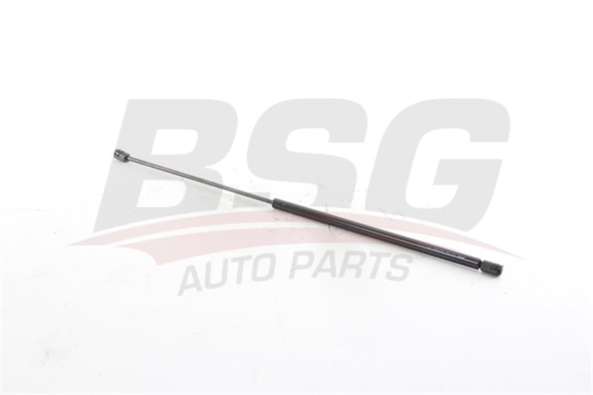 Passat Bm 14- Motor Kaput Amortisörü Bsg 3G0823359