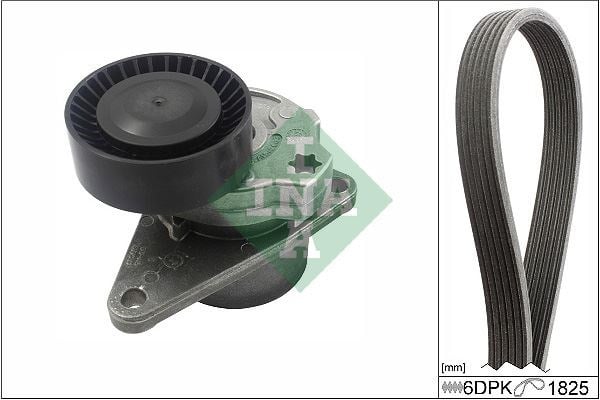 Volvo S40 Alternatör Gergi Rulmanı Kütüklü 6PK 1825 Kayış ile Beraber INA