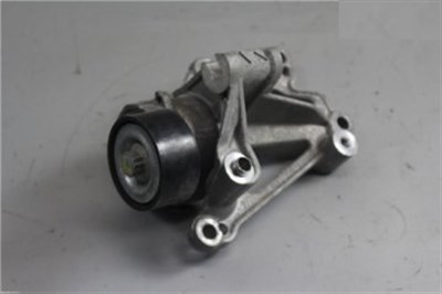 Opel Astra L Corsa F Combo E Alternatör Gergi Rulmanı Kütüklü PSA