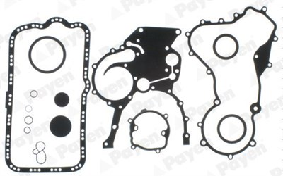 Renault Laguna Trafic Master Motor Takım Conta PAYEN