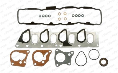 Renault Megane I-II Scenic I-II Clio II Laguna I-II Kangoo Opel Vivaro A... PAYEN