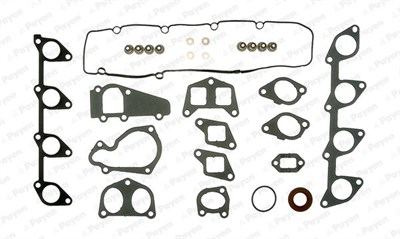 Peugeot Partner Expert Boxer Citroen Ducato Scudo Berlingo C5 Jumpy Xsara... PAYEN