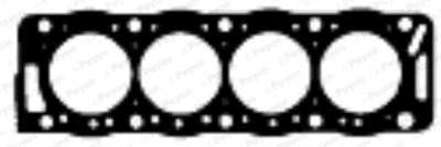 Peugeot Partner 205 305 306 405 Expert Boxer Jumper Citroen Berlingo Jumpy... PAYEN