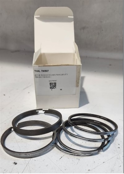 Renault R12 Motor Segmanı 1400 76.00 Çap STD Pergelli ITHAL