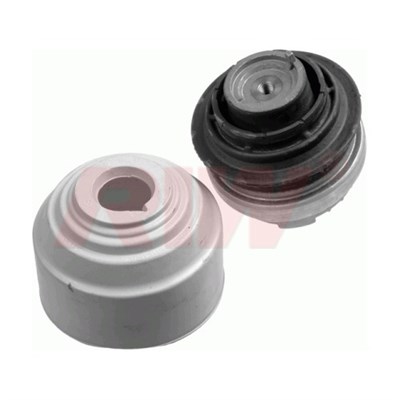 Motor Takozu RIW