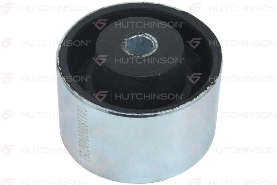 Peugeot 106 205 206 306 307 405 Berlingo Partner Saxo Xsara C4 AX BX ZX... HUTCHINSON