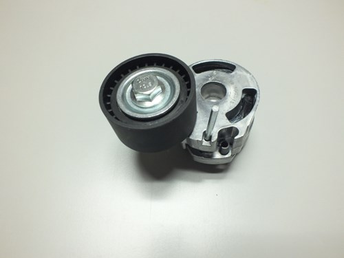 Peugeot 206 Alternatör Gergi Rulmanı Kütüklü WPI