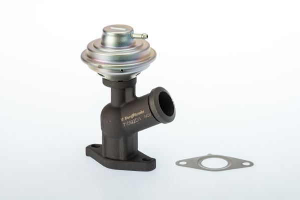 Peugeot 206 306 307 406 607 Expert Partner Citroen C5 C4 Berlingo Jumpy... BORGWARNER