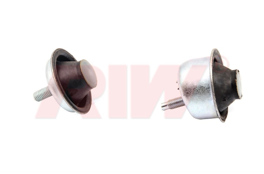 Peugeot 206 Motor Takozu Destek Burcu RIW