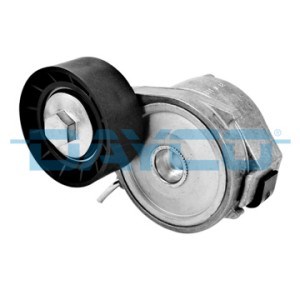 Peugeot 206 Alternatör Gergi Rulmanı Kütüklü DAYCO