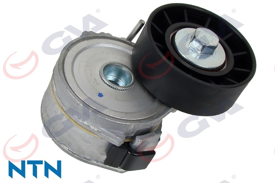 Peugeot 206 Alternatör Gergi Rulmanı Kütüklü GVA