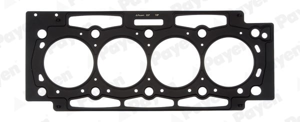 Peugeot 206 307 406 607 806 Expert Jumpy Citroen C4 C5 C8 Xsara Scudo 2.0... PAYEN
