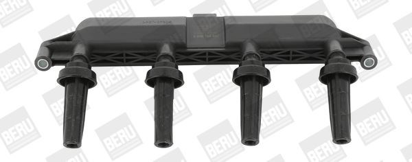 Peugeot 206 Ateşleme Bobini BERU