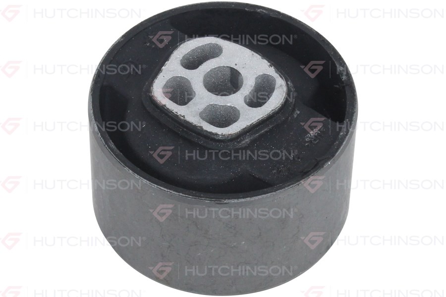 Peugeot 206 Motor Takoz Burcu HUTCHINSON