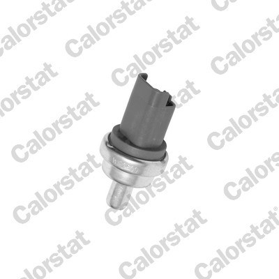 Peugeot 207 208 307 Citroen C3 C4 C5 Mini R56 Land Rover Discovery Sport... VERNET