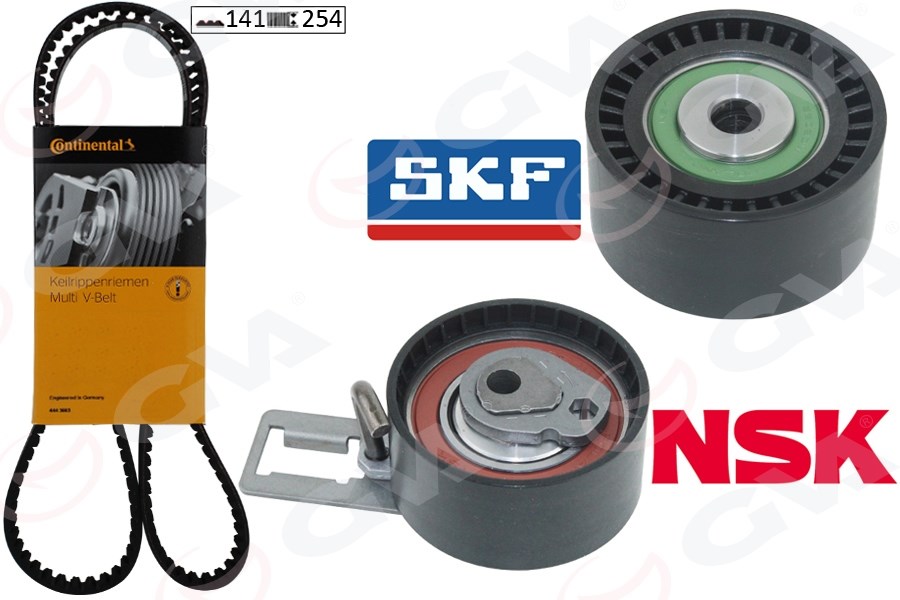 Peugeot Citroen Ford Eksantrik Gergi Kiti GVA