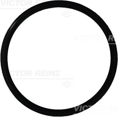 Peugeot 208 EGR Valf Contası V.REINZ