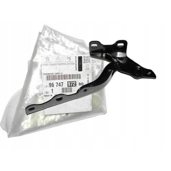 Peugeot 301 Motor Kaput Menteşe Sol PSA