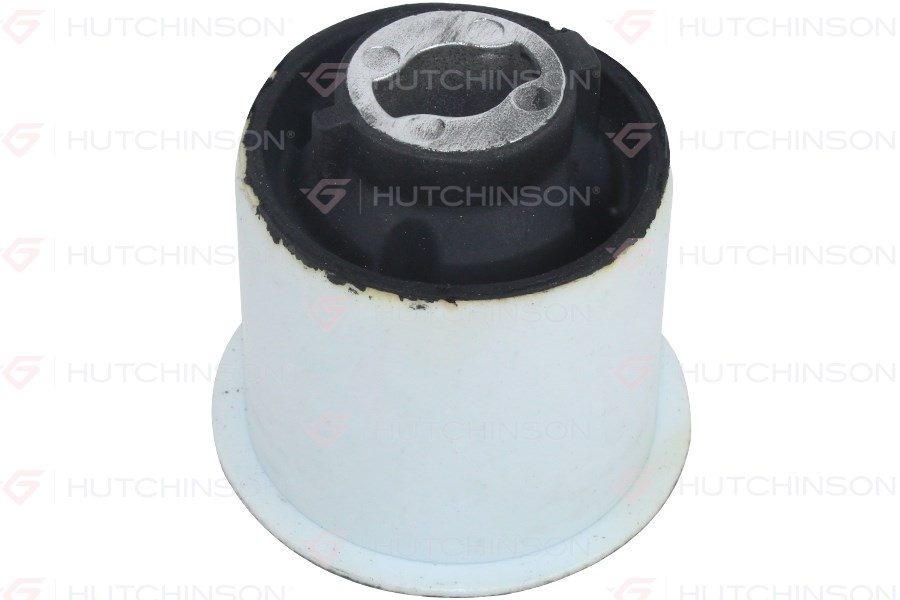 Peugeot 305 306 307 301 309 Citroen C3 C4 DS3 C-Elysee Arka Torsiyon Burcu HUTCHINSON