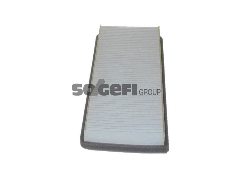 Peugeot 306 Polen Filtresi PURFLUX