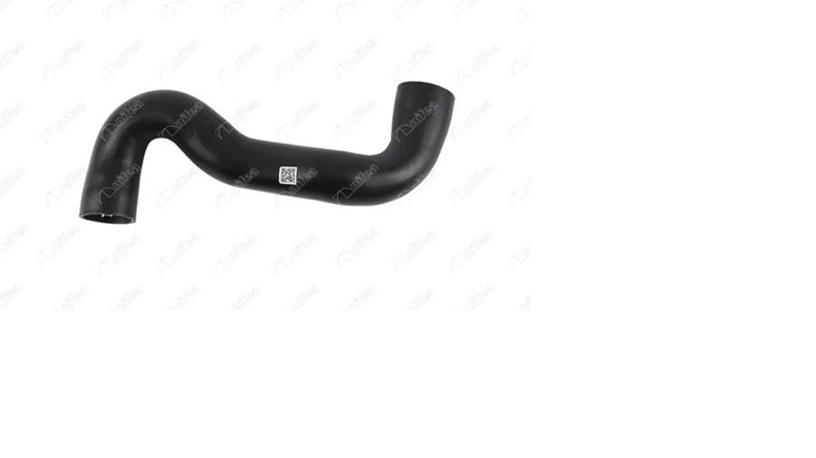 Peugeot 406 Turbo Intercooler Hortumu NIFEA