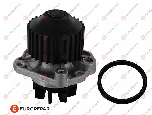 Peugeot 406 407 605 607 Citroen C5 C8 Xantia XM Renault Clio Laguna... EUROREPAR