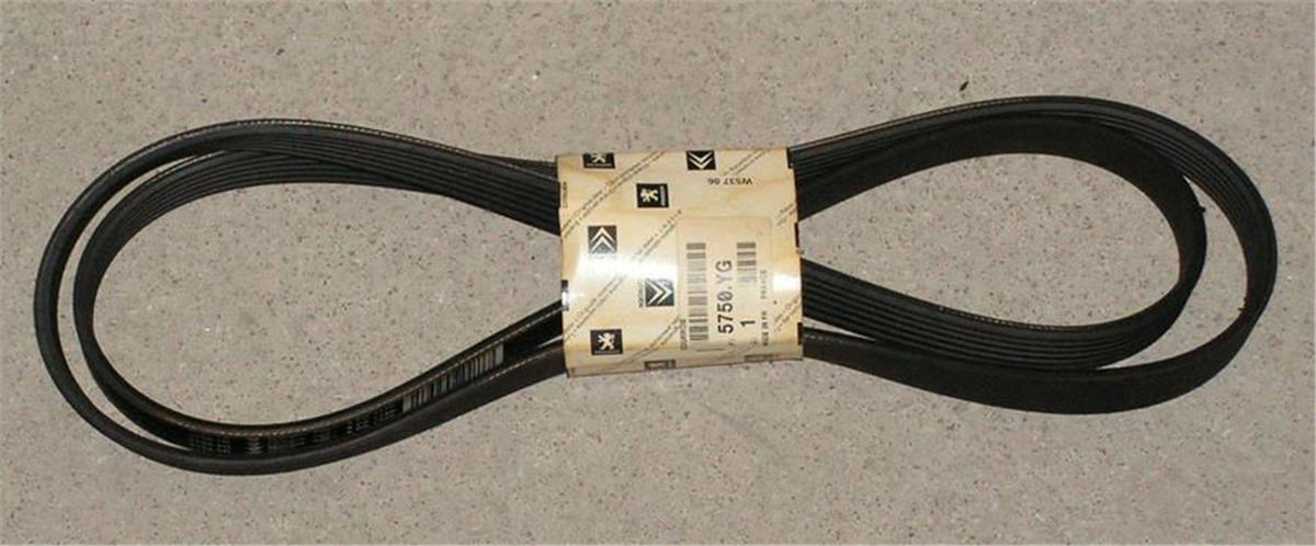 6Pk1750 Kanallı Kayış Megane 1.6-1.8-2.0 16V 00 Berlingo 99 C5 01-04 P306 98-01