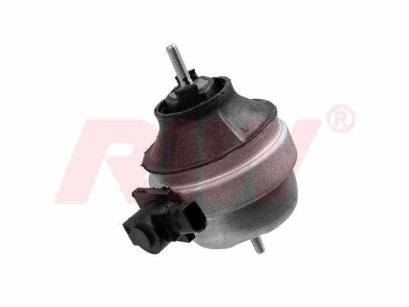 Audi A4 A6 Skoda Superb Volkswagen Passat Motor Takozu RIW