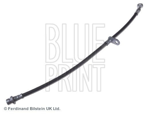 Honda Accord Fren Hortumu BLUEPRINT