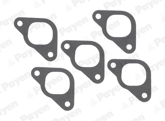 Alfa Romeo Emme Manifold Contası PAYEN