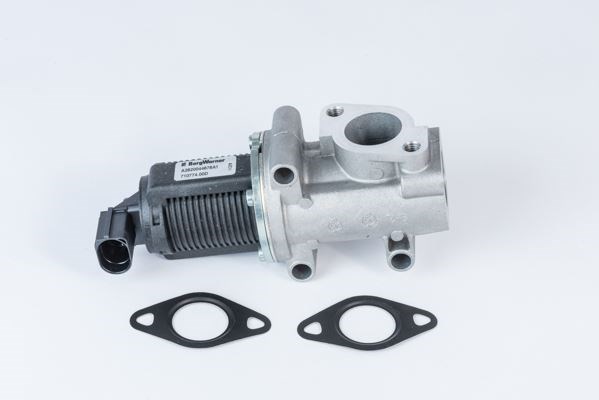 Alfa Romeo Lancia Fiat 1.9 2.4 EGR Valfi Elektrikli BORGWARNER