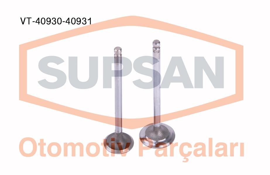 Nissan Almera 1.5 16V QG15DE Motor Supap Takımı SUPSAN
