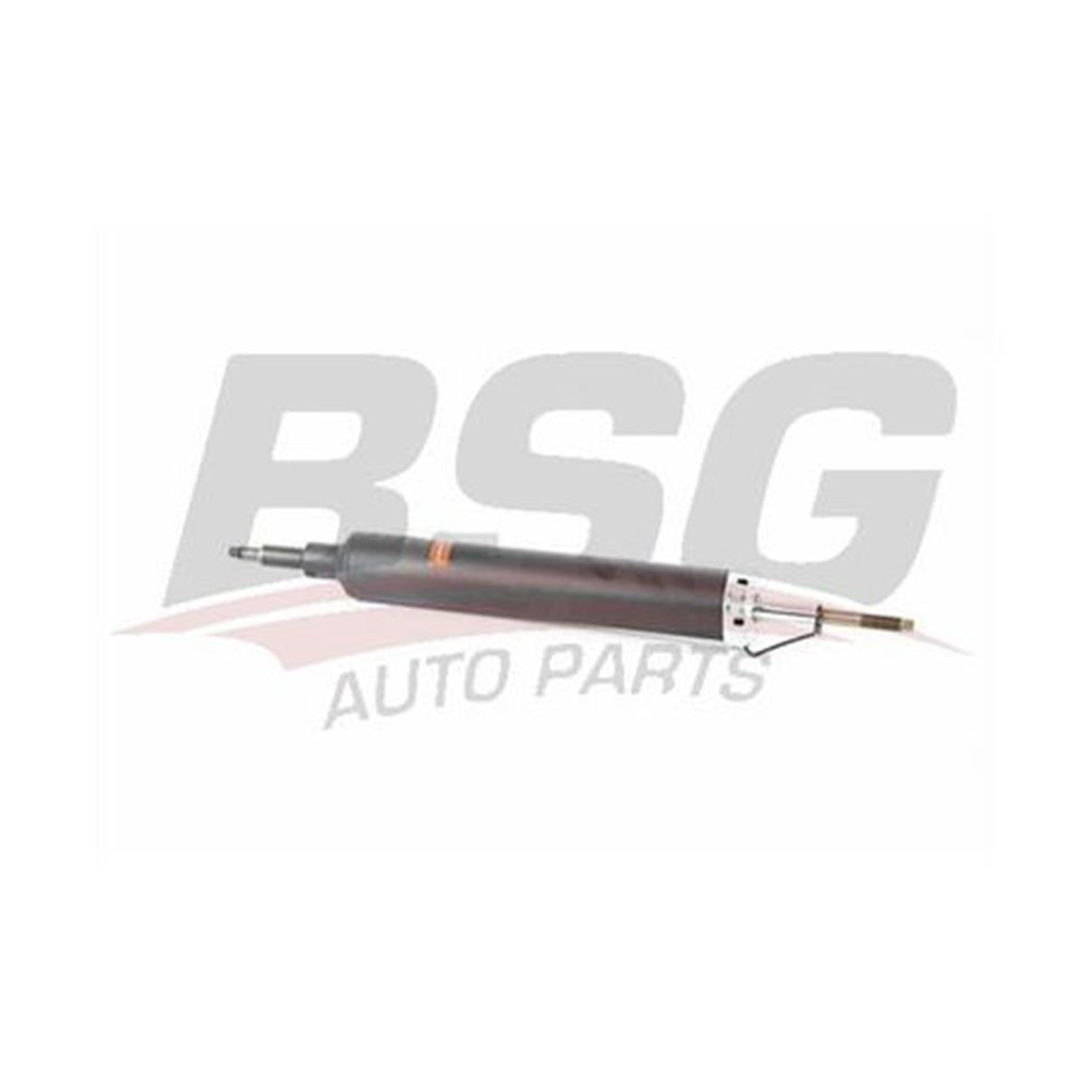 Amortisör Arka E81-E87 Bm 05-11