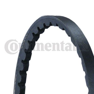 Opel Astra F Vectra A Ford Transit Peugeot Fiat Ducato V Kayışı 10x925La CONTITECH