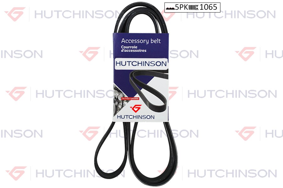 Audi Ford Fiat Mitsubishi Mazda Toyota Volkswagen Jetta V Kayışı HUTCHINSON