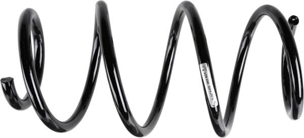 Audi Helezon Yayı SACHS