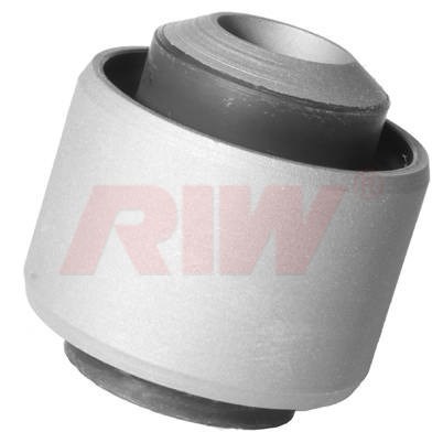 Audi Salıncak Burcu RIW