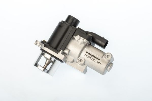 Audi Skoda Seat VW 2.0 EGR Valfi Elektrikli BORGWARNER