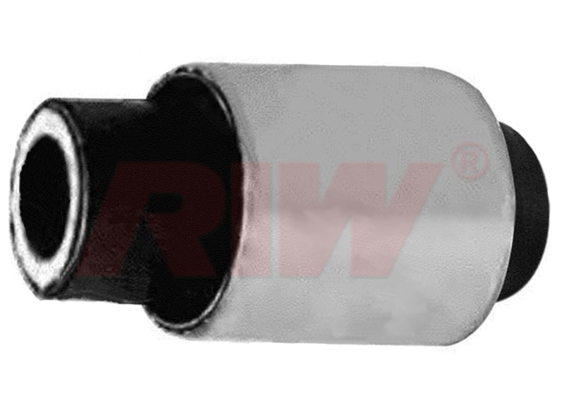 Audi Salıncak ve Denge Kolu Burcu Arka RIW