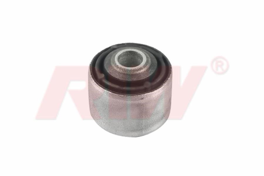 Audi Salıncak ve Denge Kolu Burcu Arka Üst RIW