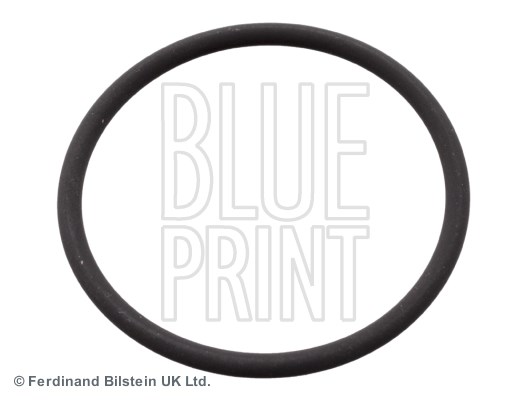 Renault Avantime Espace III Espace IV O-Halkası BLUEPRINT
